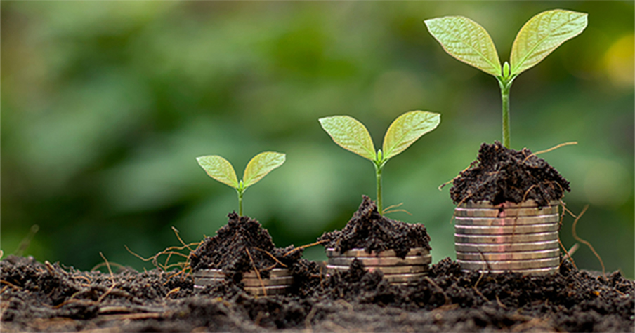 Savvy Ways to Save Money By Going Green