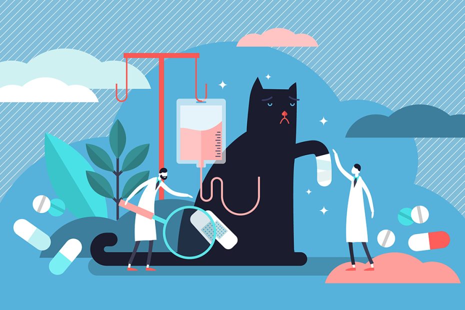 The Pros and Cons of Pet Insurance